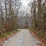 Roller Road