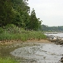 Chancellor's Point