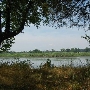 Grove Farm