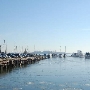The Marina at Henderson's Wharf