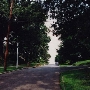 Rueckert Road