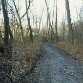 Patapsco Valley State Park