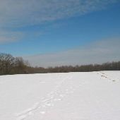 Patapsco Valley State Park, Mckeldin Area - D Field