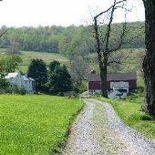 Byron Estate