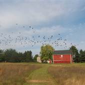 Jane Kuhl & Drew Denton Farm