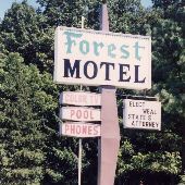 Forest Motel & Diner