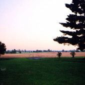 Horsey Distillery Farm