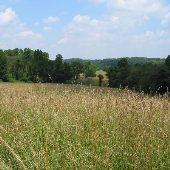 Fairhill Natural Resouces Management Area, Northside of Route 273