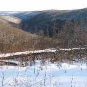 Savage River State Park, Monroe Run Vista