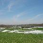 Crouse Farm