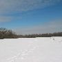 Patapsco Valley State Park, Mckeldin Area - D Field