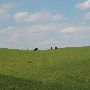 Licking Creek Farm
