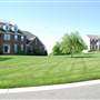 Saddleview #2