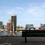 Federal Hill Park with Baltimore City Skyline