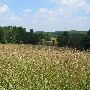 Fairhill Natural Resouces Management Area, Northside of Route 273