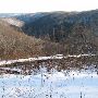 Savage River State Park, Monroe Run Vista