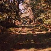 Loch Raven Reservoir - Fire Road behind Skeet Range
