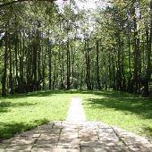 Audubon Naturalist Society at Woodend Sanctuary