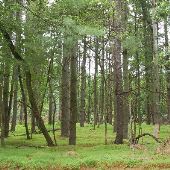 Loch Raven Skeet and Trap Center Roads