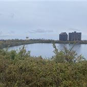 Druid Hill Lakefront