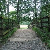 Fairhill Natural Resouces Management Area, Scott's Mill