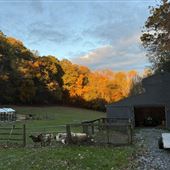 111 Bachmans Valley Rd
