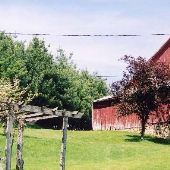 Colson Farm