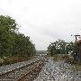 Hagerstown Railroad - Williamsport Road Crossing