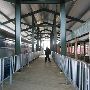 President Washington Train, Baltimore & Ohio Railroad Museum