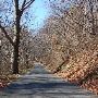 Gross Mill Road