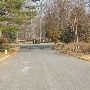 Winterberry Court
