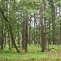 Loch Raven Skeet and Trap Center Roads