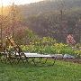 Rocky Gap Lodge and Golf Resort