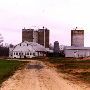 Collier Farm