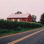 Soy Bean Farm
