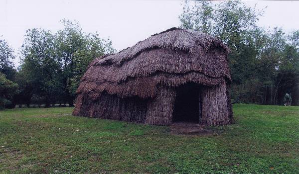 did jamestown grow tobacco Tobacco in Colonial Virginia