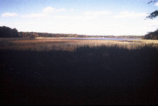 Marshy Point Nature Center
