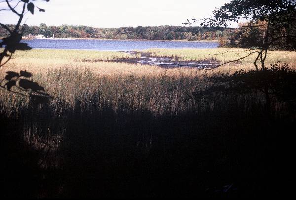 Marshy Point Nature Center